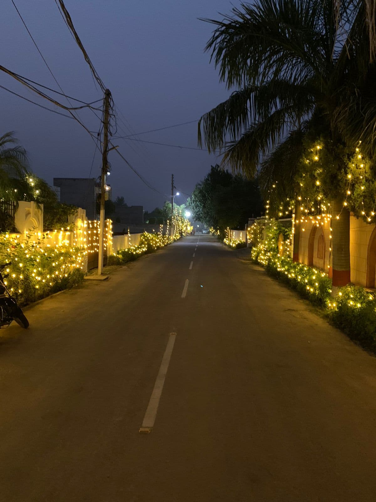 Premium Independent Kothi for Sale – Palm Grove, Amritsar 3